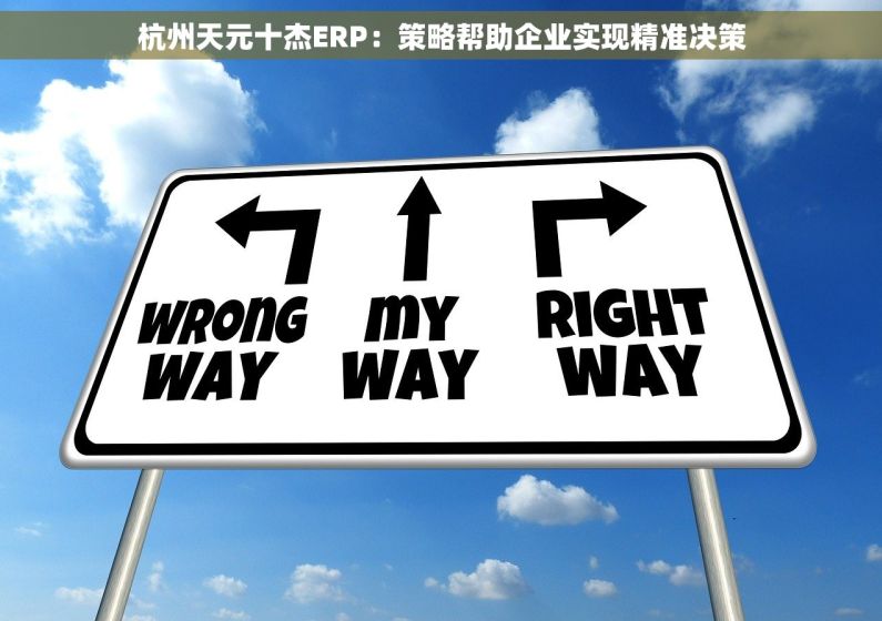 杭州天元十杰ERP：策略帮助企业实现精准决策
