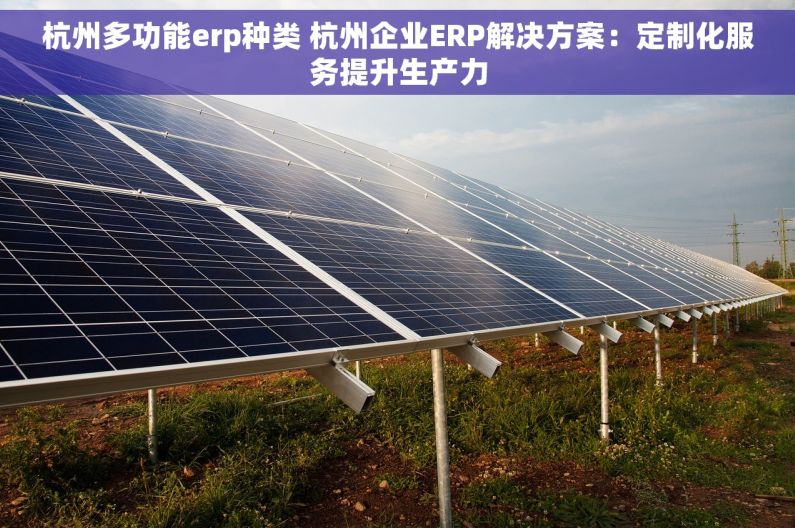 杭州多功能erp种类 杭州企业ERP解决方案：定制化服务提升生产力