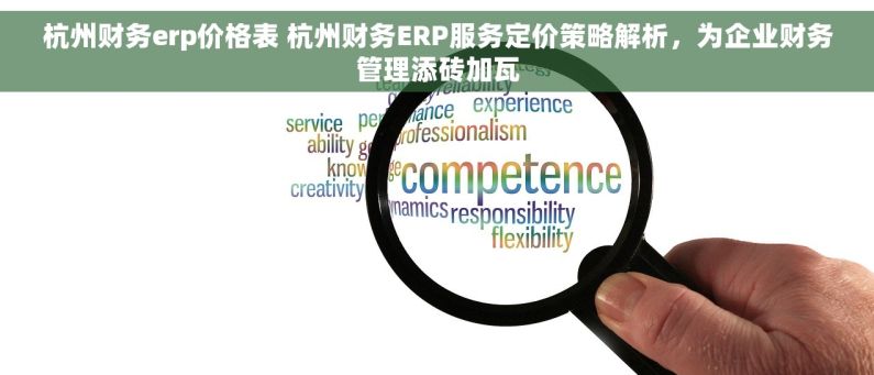 杭州财务erp价格表 杭州财务ERP服务定价策略解析，为企业财务管理添砖加瓦