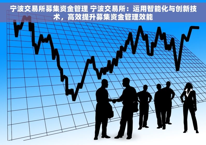 宁波交易所募集资金管理 宁波交易所：运用智能化与创新技术，高效提升募集资金管理效能