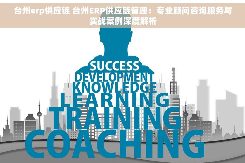 台州erp供应链 台州ERP供应链管理：专业顾问咨询服务与实战案例深度解析