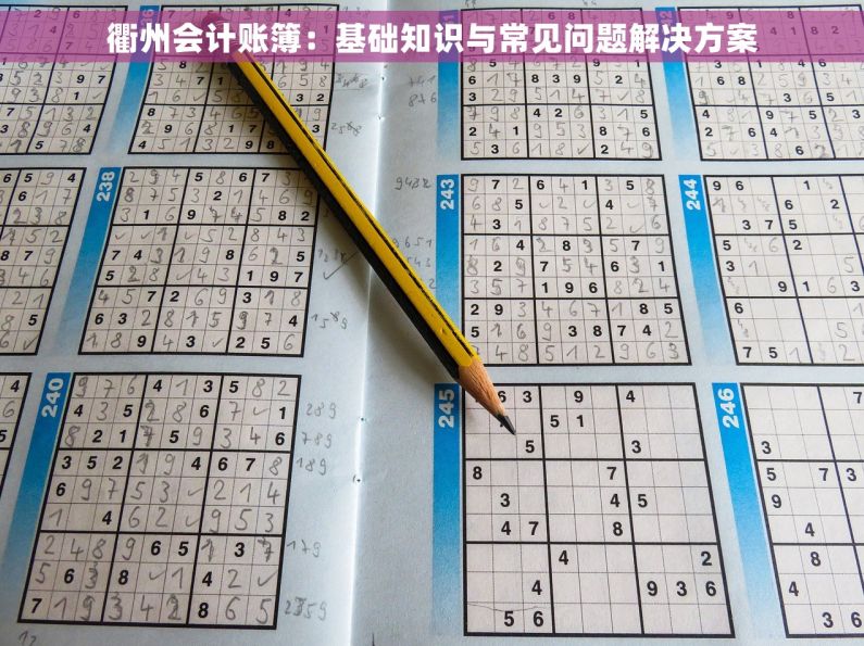 衢州会计账簿：基础知识与常见问题解决方案