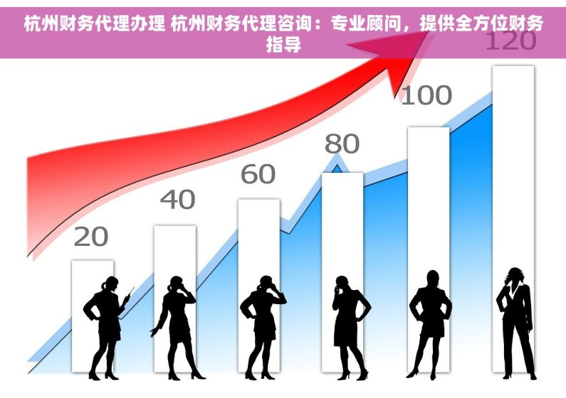 杭州财务代理办理 杭州财务代理咨询：专业顾问，提供全方位财务指导