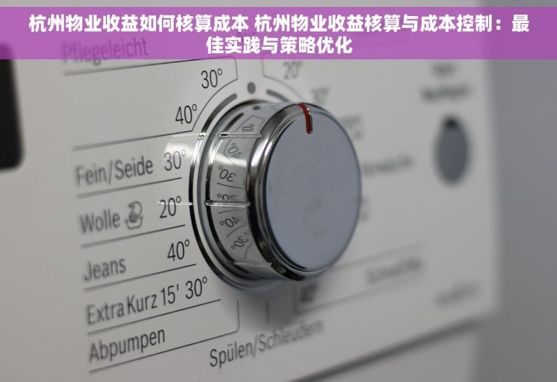 杭州物业收益如何核算成本 杭州物业收益核算与成本控制：最佳实践与策略优化