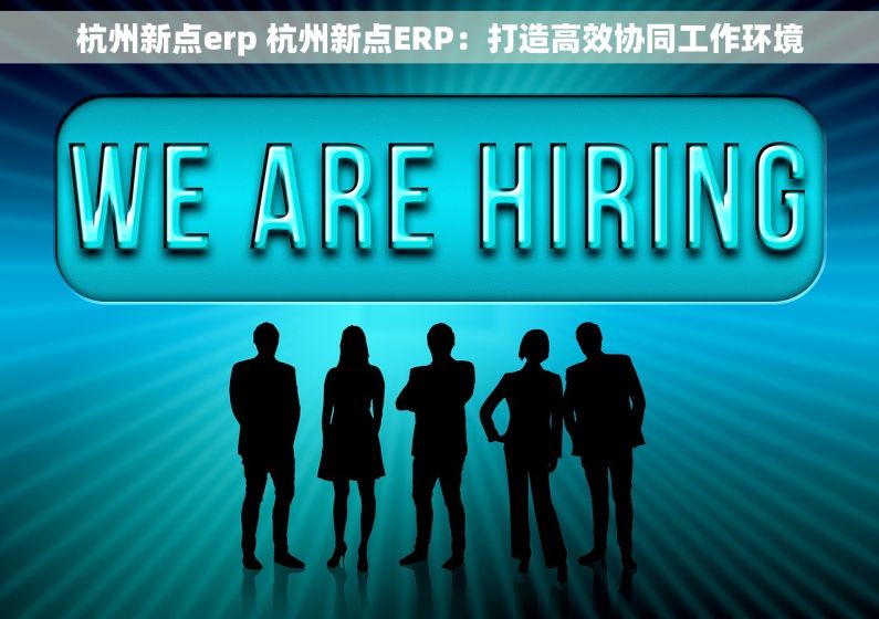 杭州新点erp 杭州新点ERP：打造高效协同工作环境