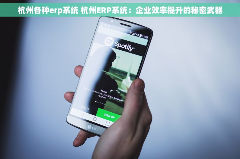 杭州各种erp系统 杭州ERP系统：企业效率提升的秘密武器