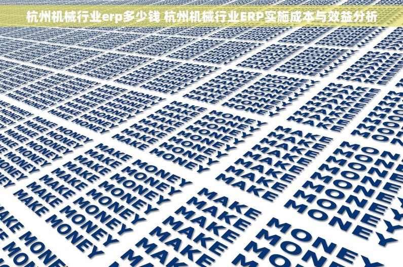 杭州机械行业erp多少钱 杭州机械行业ERP实施成本与效益分析