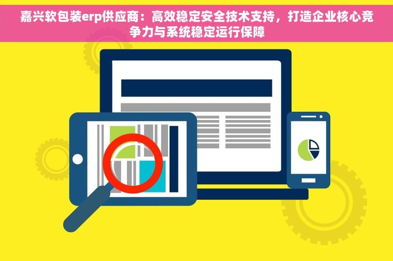嘉兴软包装erp供应商：高效稳定安全技术支持，打造企业核心竞争力与系统稳定运行保障