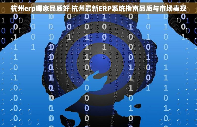 杭州erp哪家品质好 杭州最新ERP系统指南品质与市场表现