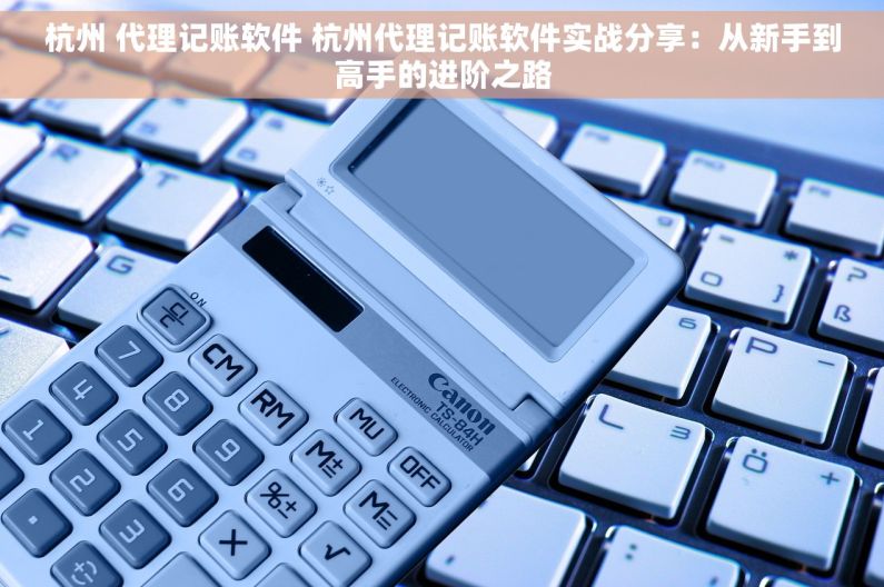 杭州 代理记账软件 杭州代理记账软件实战分享：从新手到高手的进阶之路