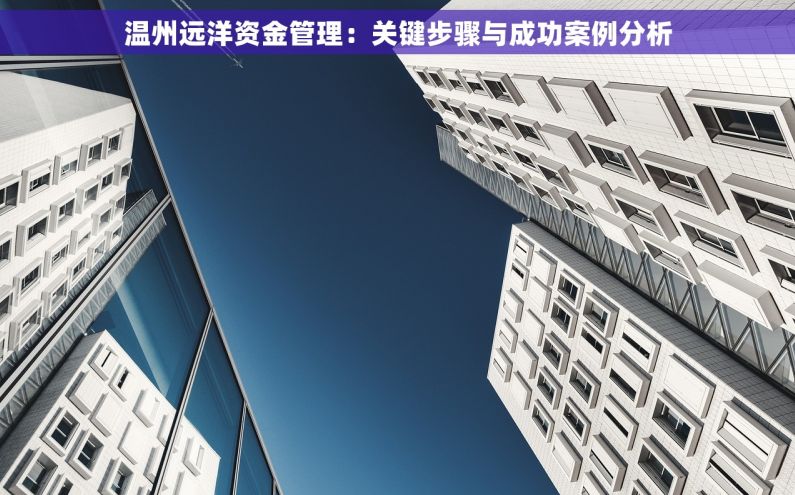 温州远洋资金管理：关键步骤与成功案例分析