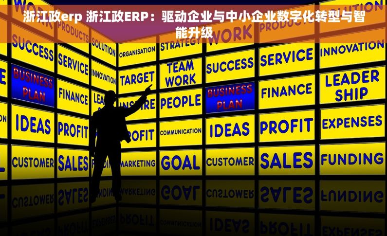 浙江政erp 浙江政ERP：驱动企业与中小企业数字化转型与智能升级