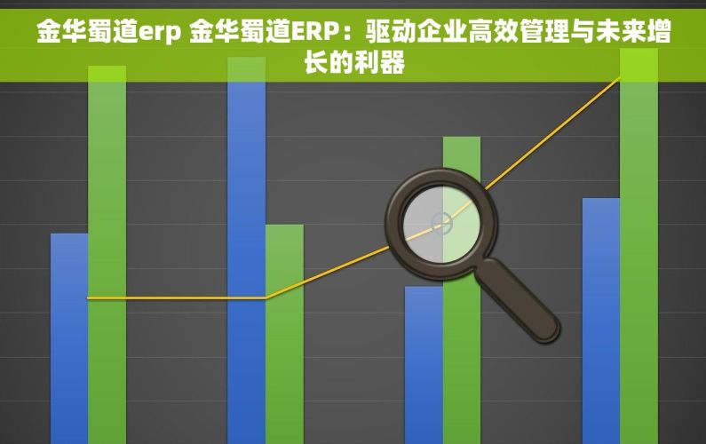 金华蜀道erp 金华蜀道ERP：驱动企业高效管理与未来增长的利器