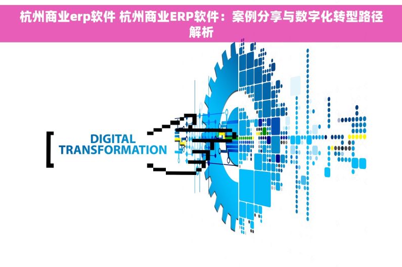 杭州商业erp软件 杭州商业ERP软件：案例分享与数字化转型路径解析
