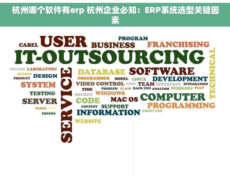 杭州哪个软件有erp 杭州企业必知：ERP系统选型关键因素