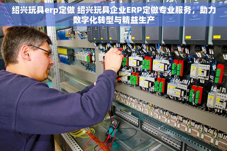 绍兴玩具erp定做 绍兴玩具企业ERP定做专业服务，助力数字化转型与精益生产