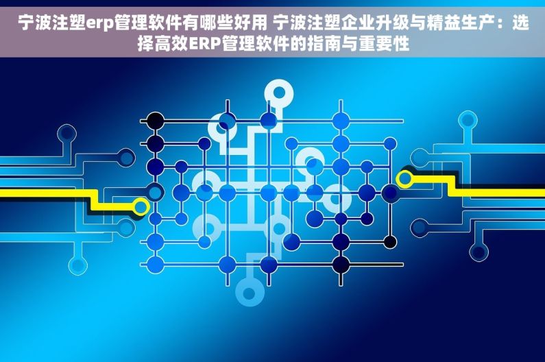 宁波注塑erp管理软件有哪些好用 宁波注塑企业升级与精益生产：选择高效ERP管理软件的指南与重要性