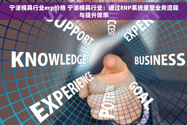 宁波模具行业erp价格 宁波模具行业：通过ERP系统重塑业务流程与提升效率