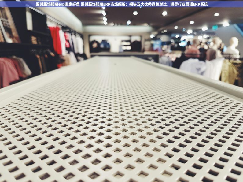 温州服饰服装erp哪家好些 温州服饰服装ERP市场解析：揭秘五大优秀品牌对比，探寻行业最强ERP系统