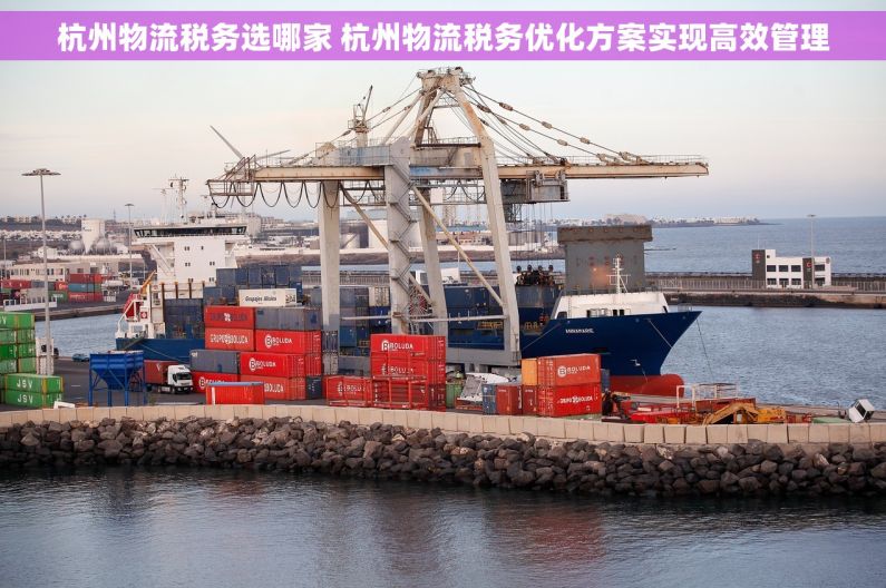 杭州物流税务选哪家 杭州物流税务优化方案实现高效管理