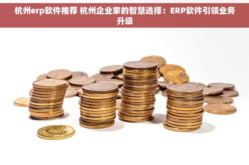 杭州erp软件推荐 杭州企业家的智慧选择：ERP软件引领业务升级