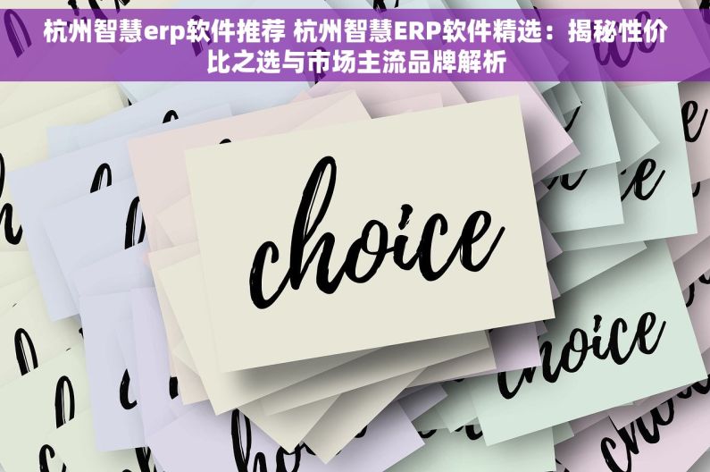 杭州智慧erp软件推荐 杭州智慧ERP软件精选：揭秘性价比之选与市场主流品牌解析