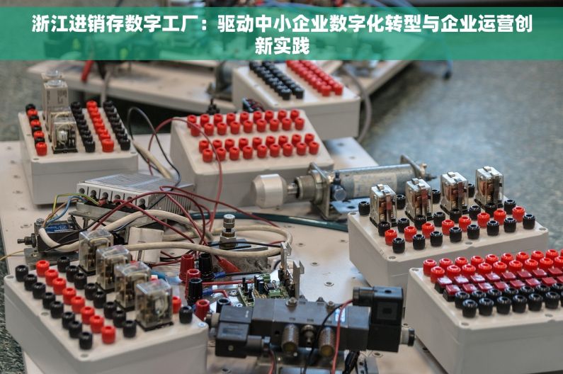 浙江进销存数字工厂：驱动中小企业数字化转型与企业运营创新实践