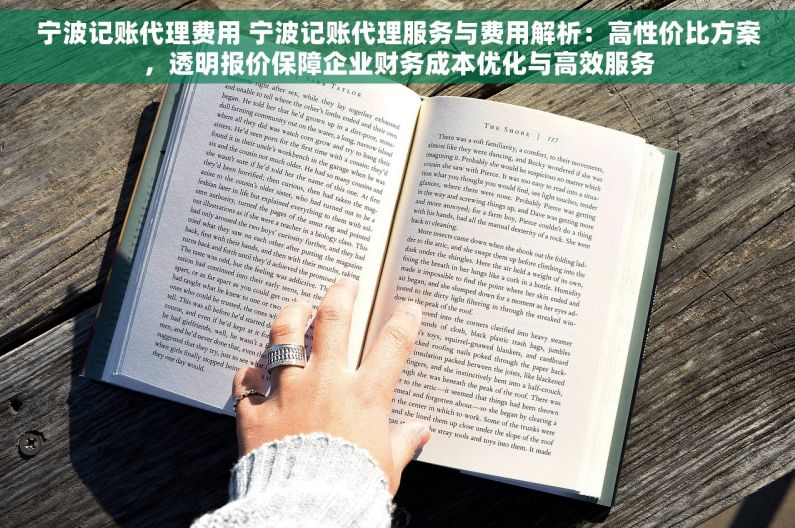 宁波记账代理费用 宁波记账代理服务与费用解析：高性价比方案，透明报价保障企业财务成本优化与高效服务