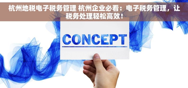 杭州地税电子税务管理 杭州企业必看：电子税务管理，让税务处理轻松高效！