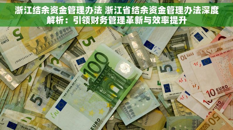 浙江结余资金管理办法 浙江省结余资金管理办法深度解析：引领财务管理革新与效率提升