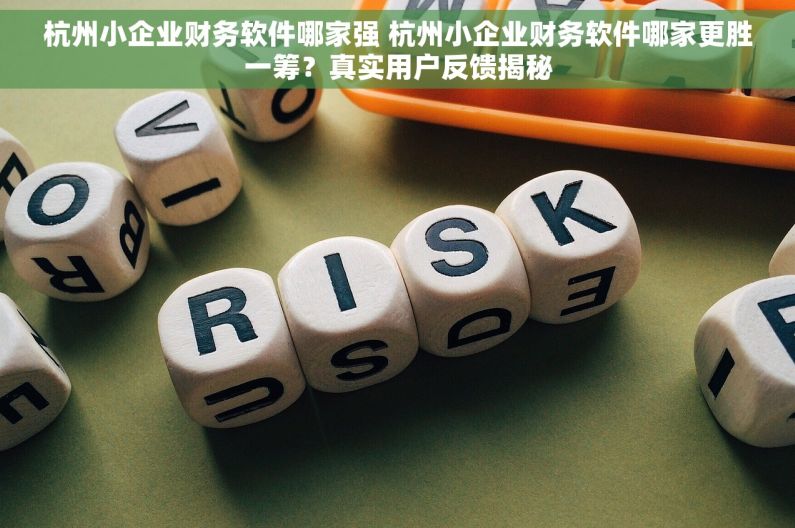 杭州小企业财务软件哪家强 杭州小企业财务软件哪家更胜一筹？真实用户反馈揭秘