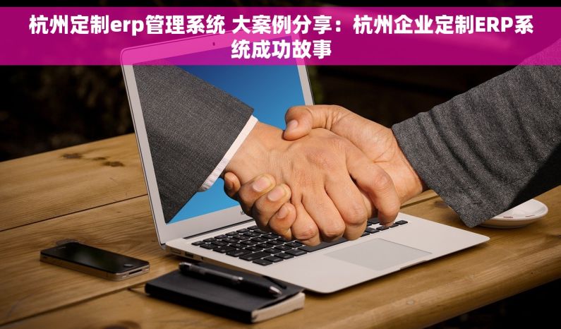 杭州定制erp管理系统 大案例分享：杭州企业定制ERP系统成功故事