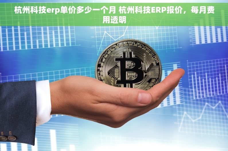 杭州科技erp单价多少一个月 杭州科技ERP报价，每月费用透明