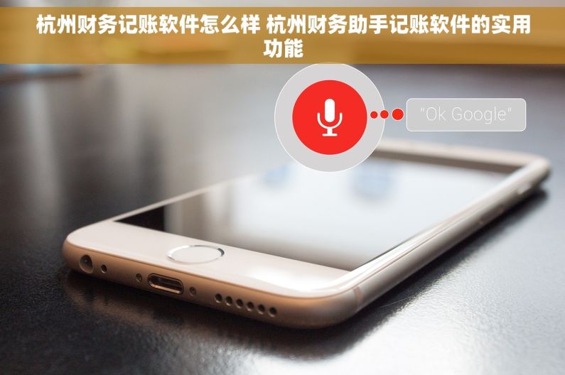杭州财务记账软件怎么样 杭州财务助手记账软件的实用功能