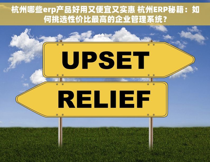 杭州哪些erp产品好用又便宜又实惠 杭州ERP秘籍：如何挑选性价比最高的企业管理系统？