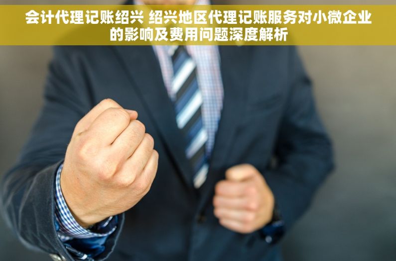 会计代理记账绍兴 绍兴地区代理记账服务对小微企业的影响及费用问题深度解析