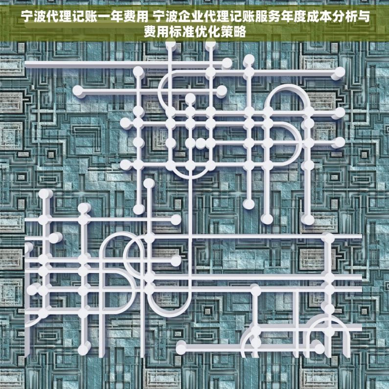 宁波代理记账一年费用 宁波企业代理记账服务年度成本分析与费用标准优化策略