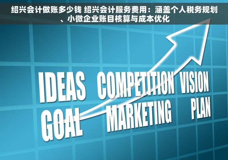 绍兴会计做账多少钱 绍兴会计服务费用：涵盖个人税务规划、小微企业账目核算与成本优化