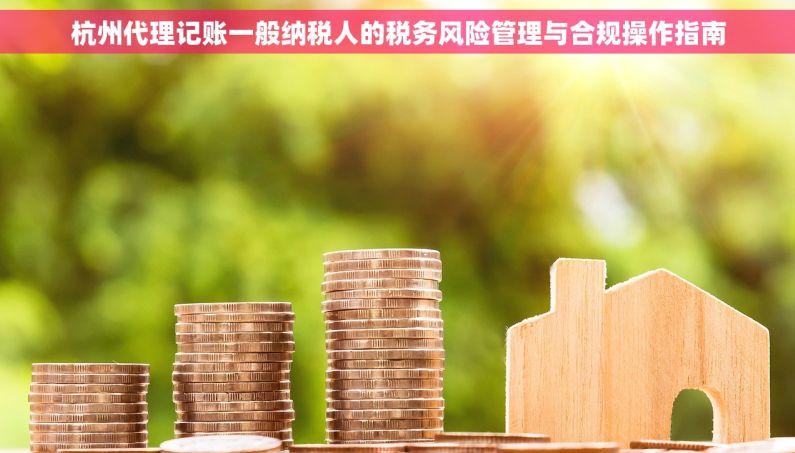 杭州代理记账一般纳税人的税务风险管理与合规操作指南