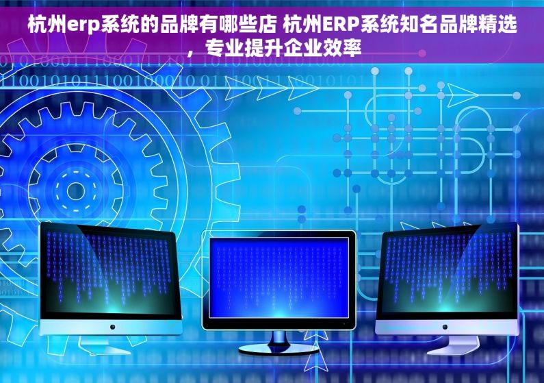 杭州erp系统的品牌有哪些店 杭州ERP系统知名品牌精选，专业提升企业效率