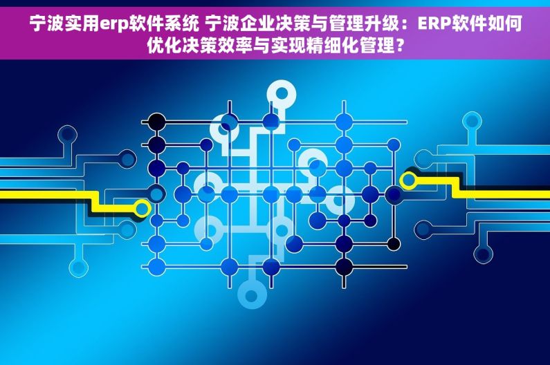 宁波实用erp软件系统 宁波企业决策与管理升级：ERP软件如何优化决策效率与实现精细化管理？