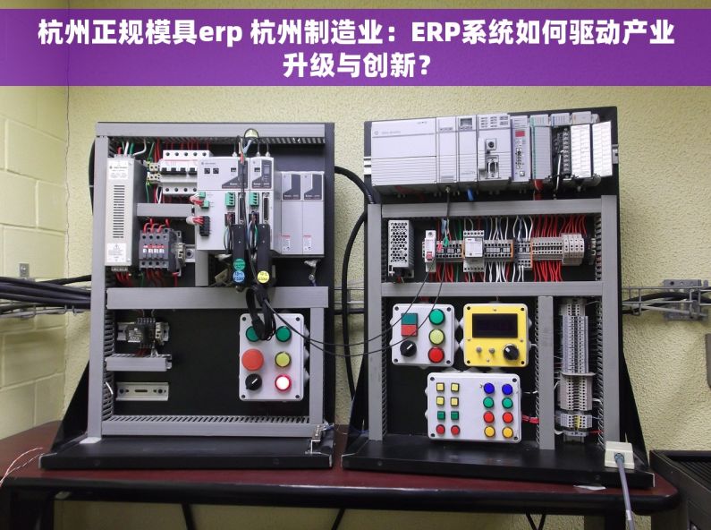 杭州正规模具erp 杭州制造业：ERP系统如何驱动产业升级与创新？