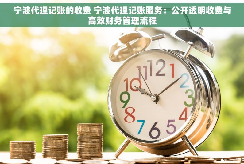 宁波代理记账的收费 宁波代理记账服务：公开透明收费与高效财务管理流程