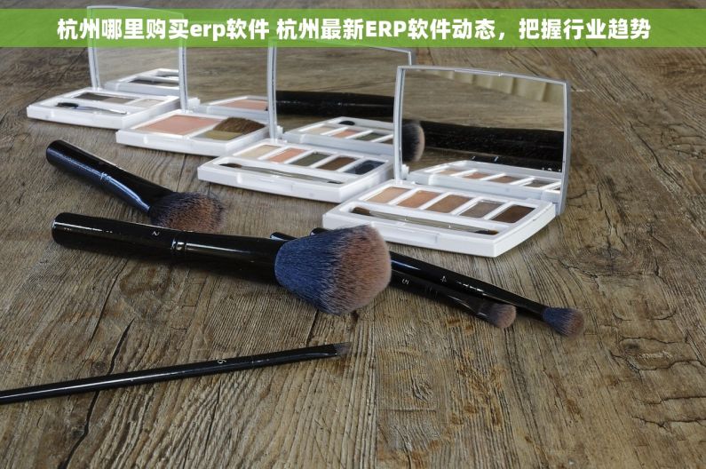 杭州哪里购买erp软件 杭州最新ERP软件动态，把握行业趋势