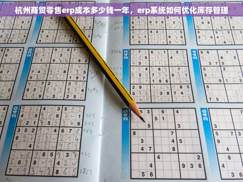 杭州商贸零售erp成本多少钱一年，erp系统如何优化库存管理