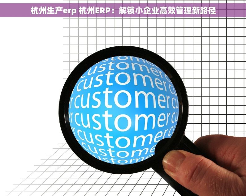 杭州生产erp 杭州ERP：解锁小企业高效管理新路径
