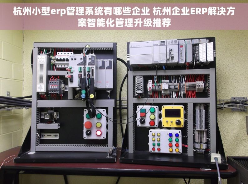 杭州小型erp管理系统有哪些企业 杭州企业ERP解决方案智能化管理升级推荐