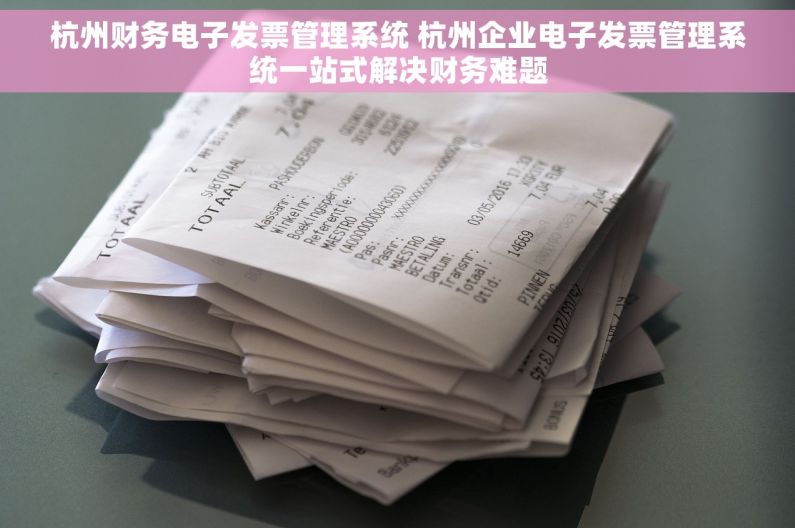 杭州财务电子发票管理系统 杭州企业电子发票管理系统一站式解决财务难题