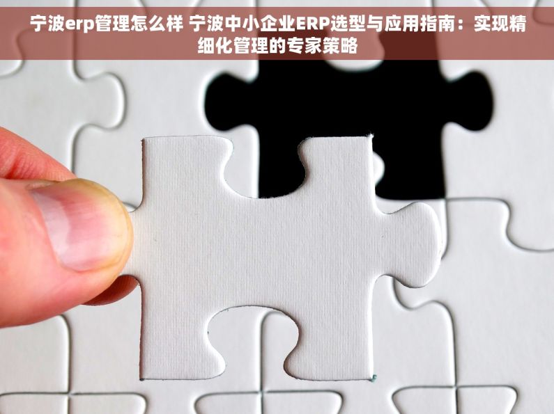 宁波erp管理怎么样 宁波中小企业ERP选型与应用指南：实现精细化管理的专家策略