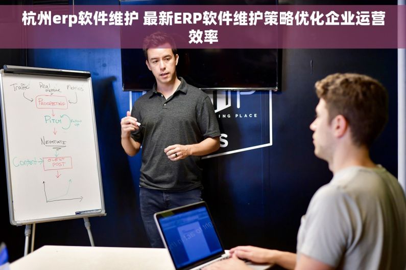 杭州erp软件维护 最新ERP软件维护策略优化企业运营效率